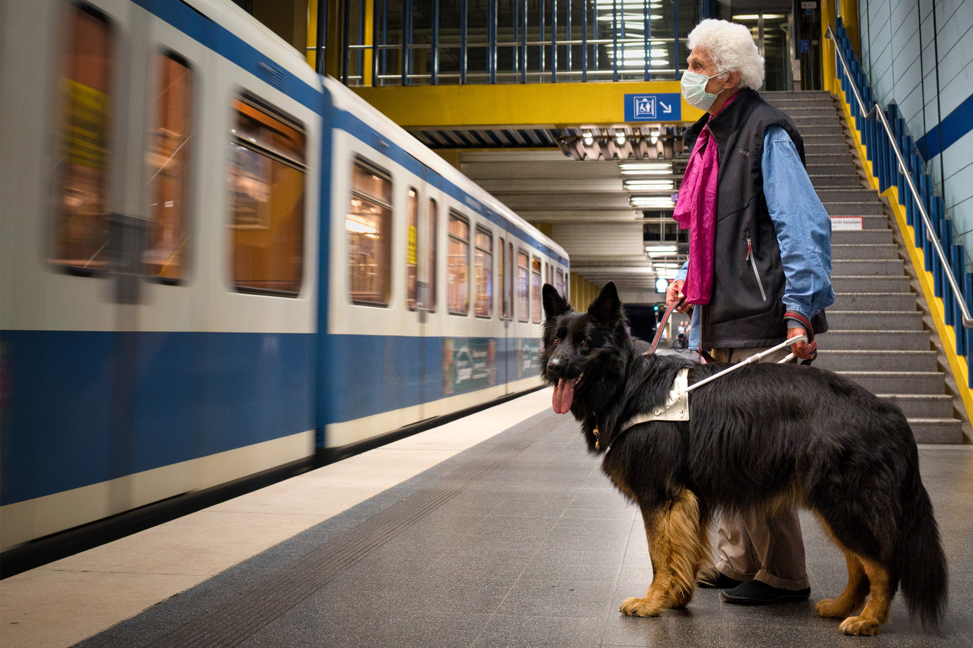 Blinde mit Führhund wartend am Bahnsteig